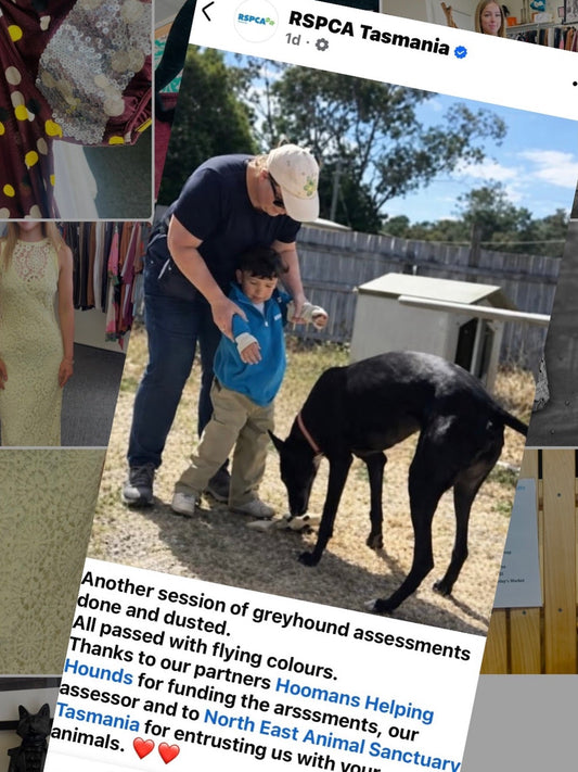 Where Your Donations Go : Supporting Muzzle-Free Assessments in Tasmania