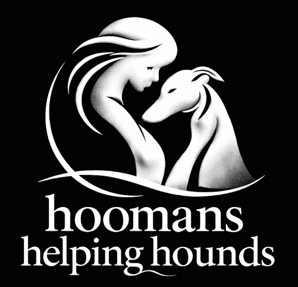 Hoomans Helping Hounds HUB 🐾