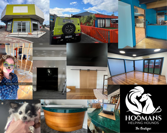 Moving and Renovating