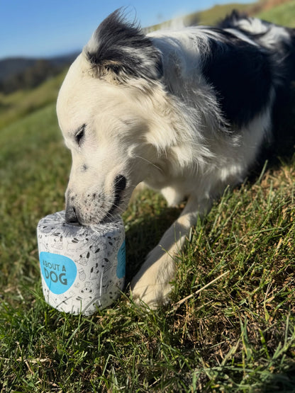 Dog playing with toilet paper outdoors on grass