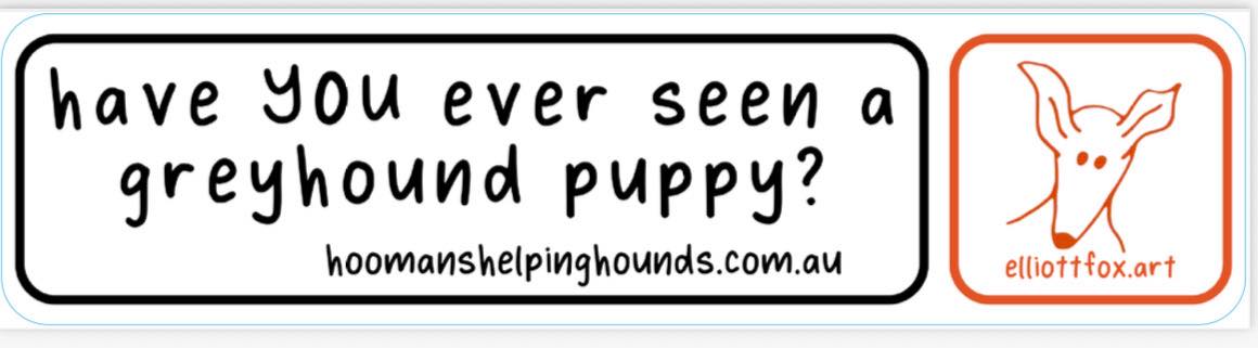 Bumper Stickers - Limited edition