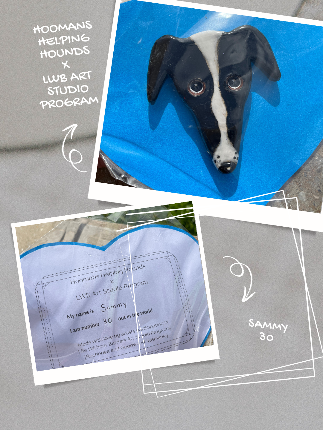 Hoomans Helping Hounds X LWB Art Studio Program.