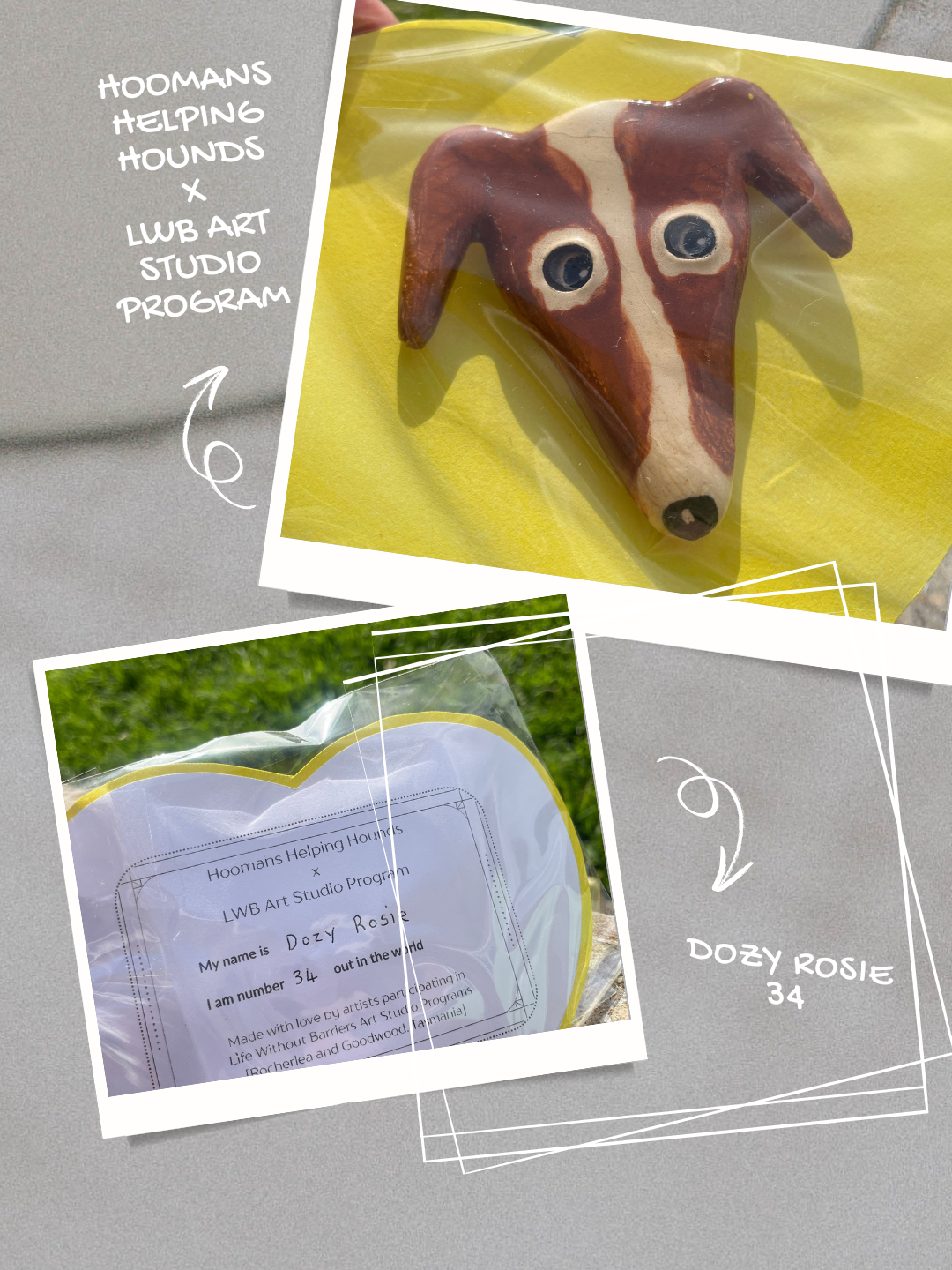 Hoomans Helping Hounds X LWB Art Studio Program.