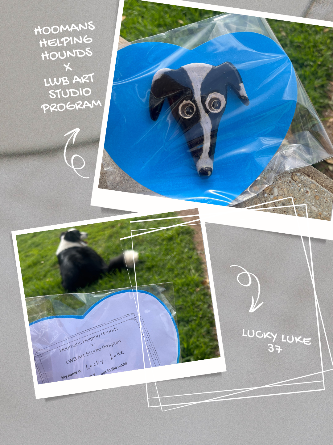 Hoomans Helping Hounds X LWB Art Studio Program.