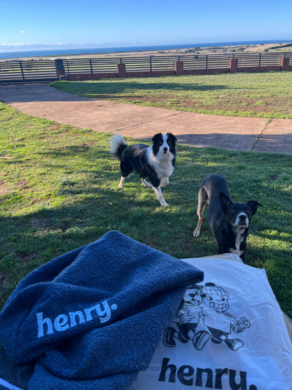 RRP $99-$159 - Henry Dog Bed Covers Bouche Fabric