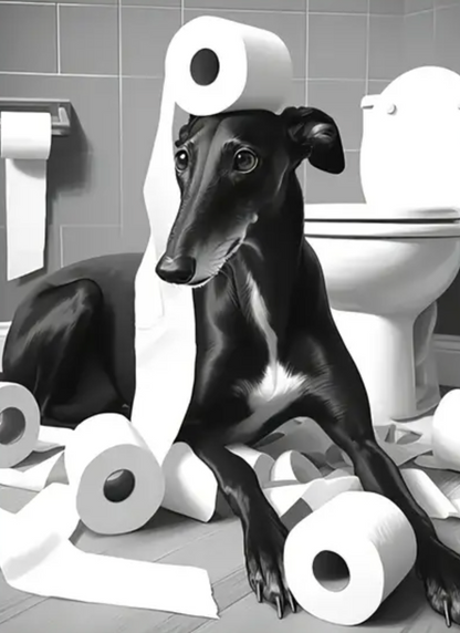 $75 About A Dog - 48 pack Carton