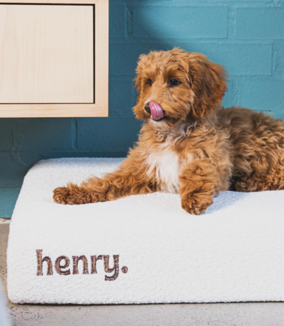 RRP $99-$159 - Henry Dog Bed Covers Bouche Fabric