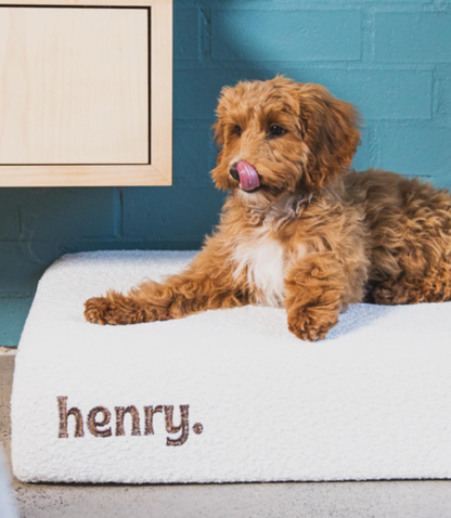 RRP $99-$159 - Henry Dog Bed Covers Bouche Fabric